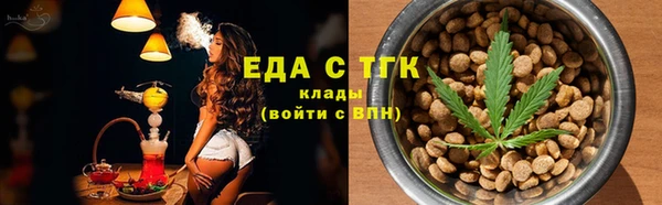 индика Нязепетровск
