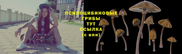 индика Нязепетровск