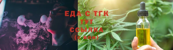 индика Нязепетровск