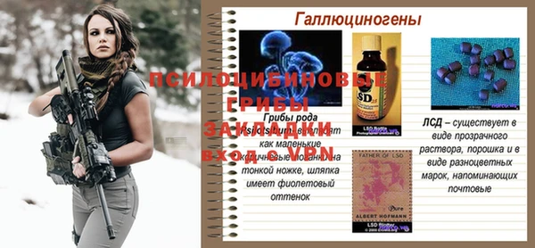 индика Нязепетровск