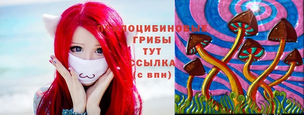 экстази Няндома