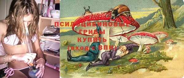 индика Нязепетровск