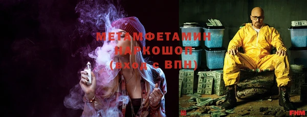 индика Нязепетровск