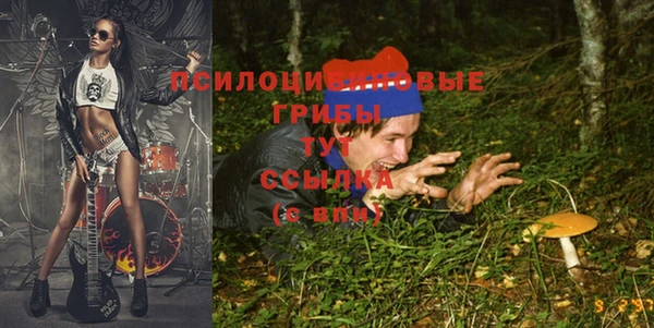 альфа пвп Нягань