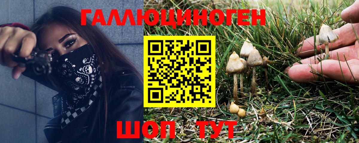 Амфетамин Заводоуковск