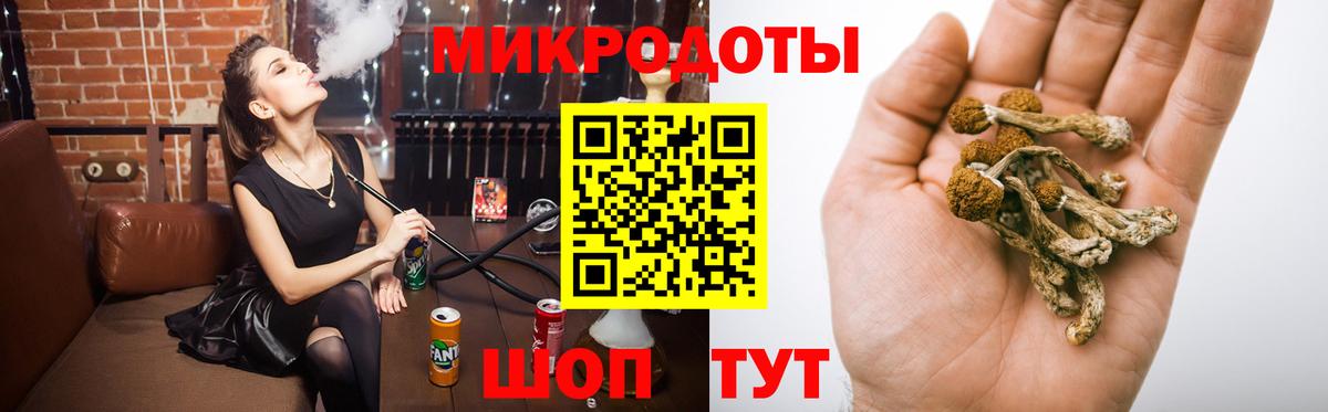 Псилоцибиновые грибы MAGIC MUSHROOMS Заводоуковск