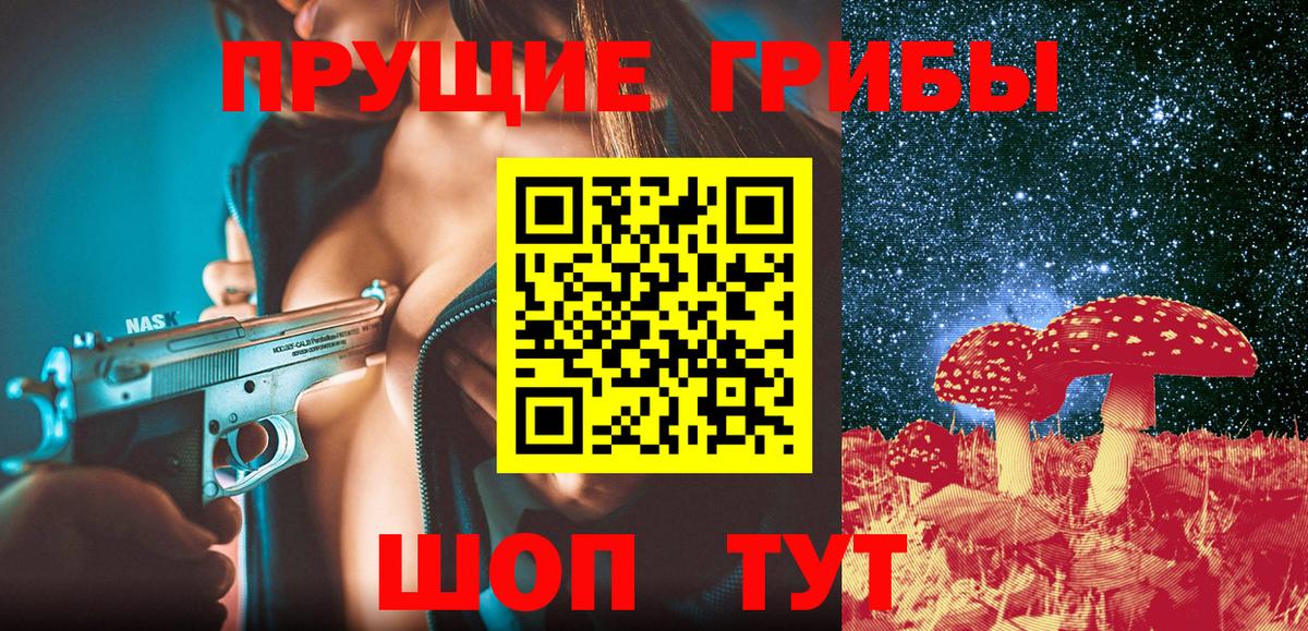 Заводоуковск  Псилоцибиновые грибы Psilocybe  Вход с VPN 